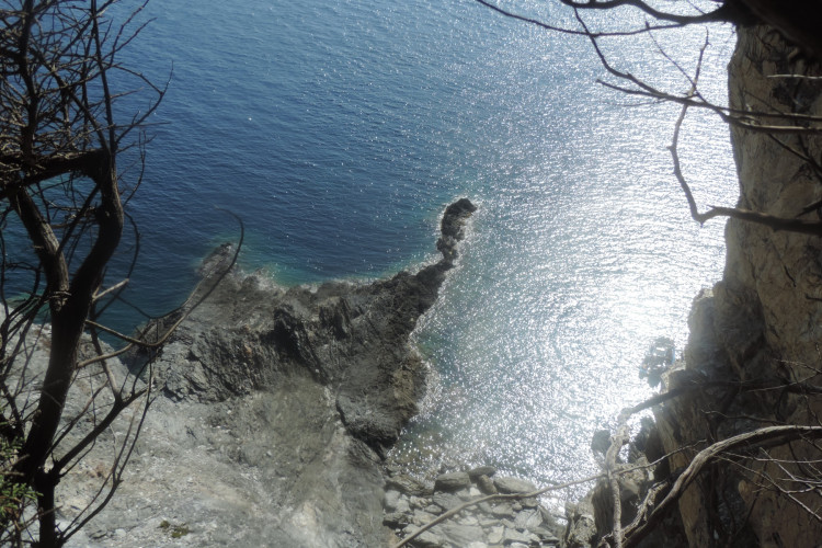 Dimanche 08.10.2023 / Les sentes de Port Cros