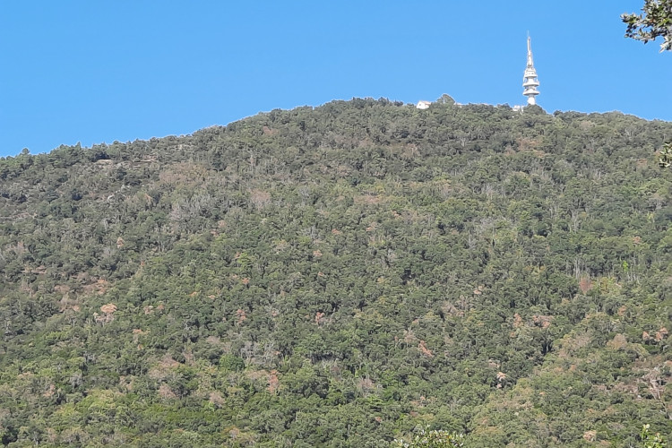 Mercredi 11.10.2023 / Les Hautes Vaudrèches