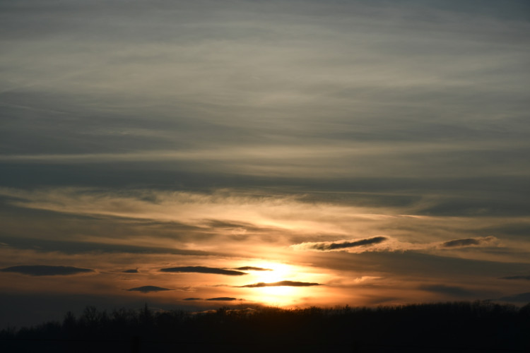 Dimanche 14.01.2024 / Les chemins de Staffarda