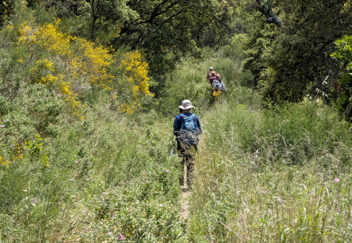 Me 14.05.2025 / Les chemins de Valcros