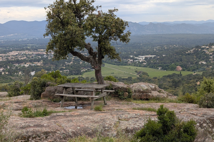 Samedi 21.06.2025 / Les Hauts du Faron
