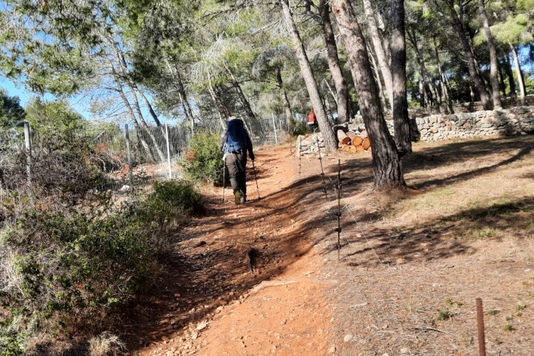 Dimanche 22.06.2025 / Les Îles du Frioul